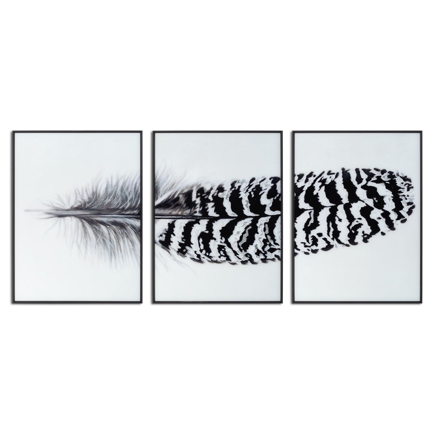 Black Striped Feather Over 3 Black Glass Frames