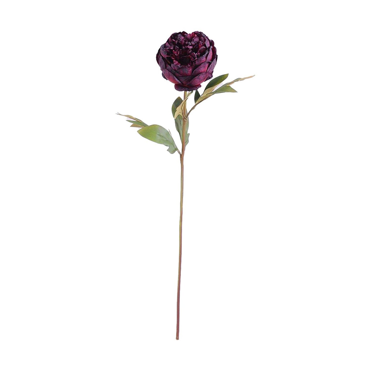 Mixed Purple Peony Rose