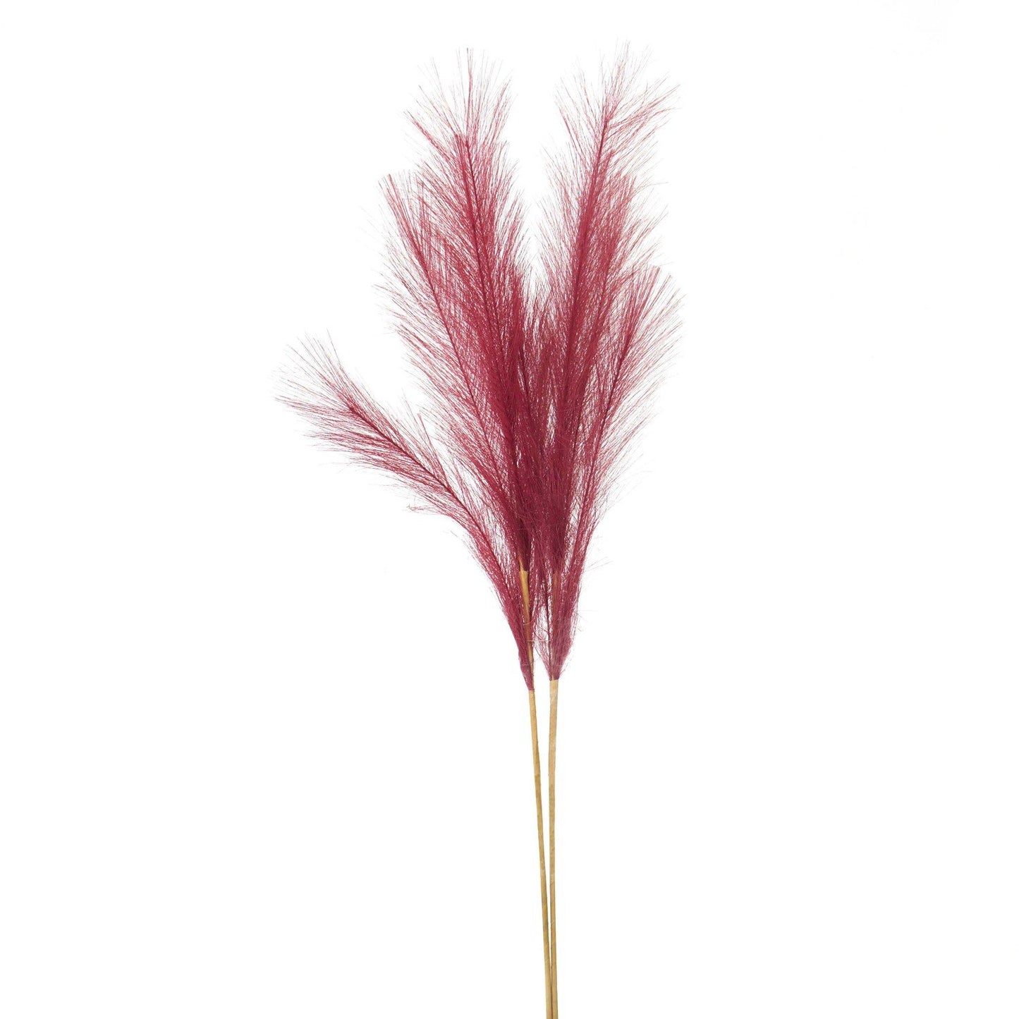 Scarlet Faux Pampas Grass Stem