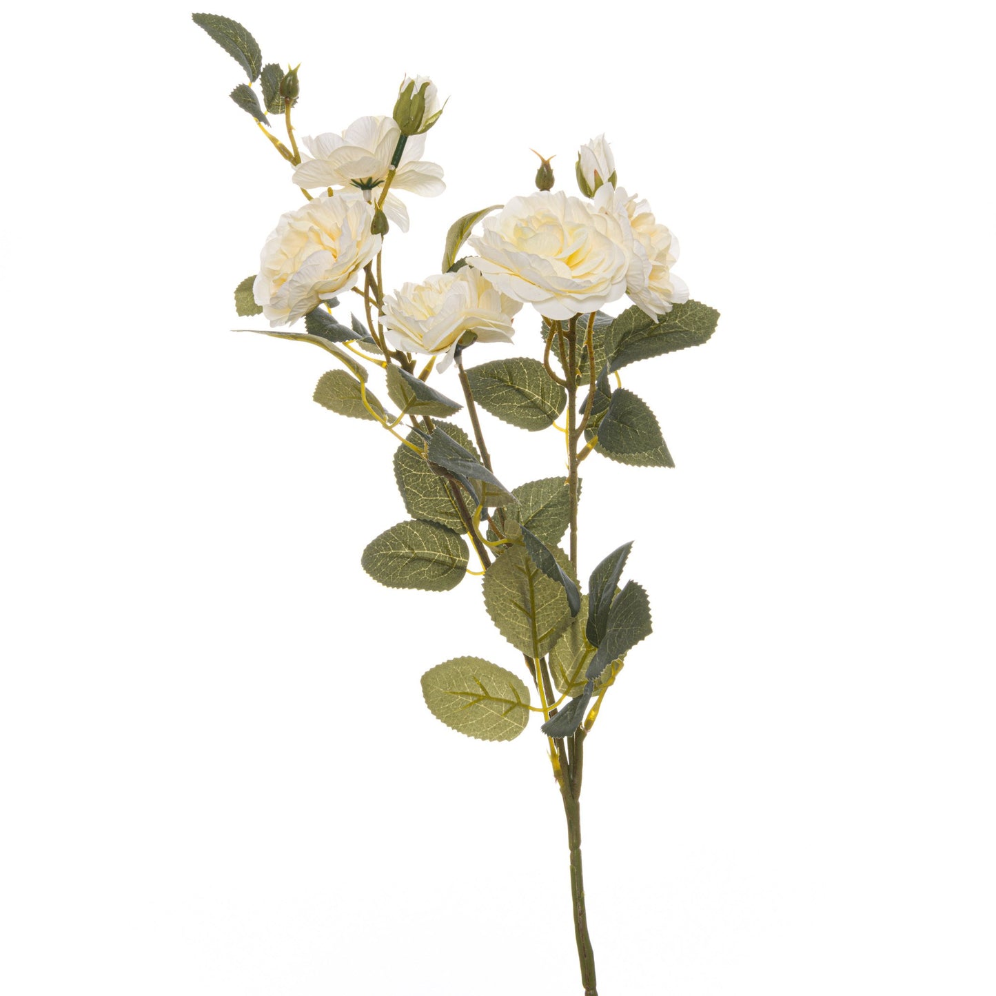 Soft White Cottage Rose Stem